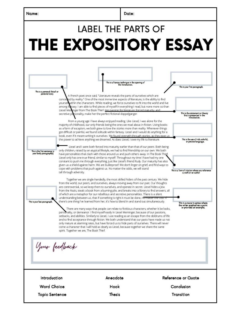 Expository essay worksheet with labeled blanks and feedback box