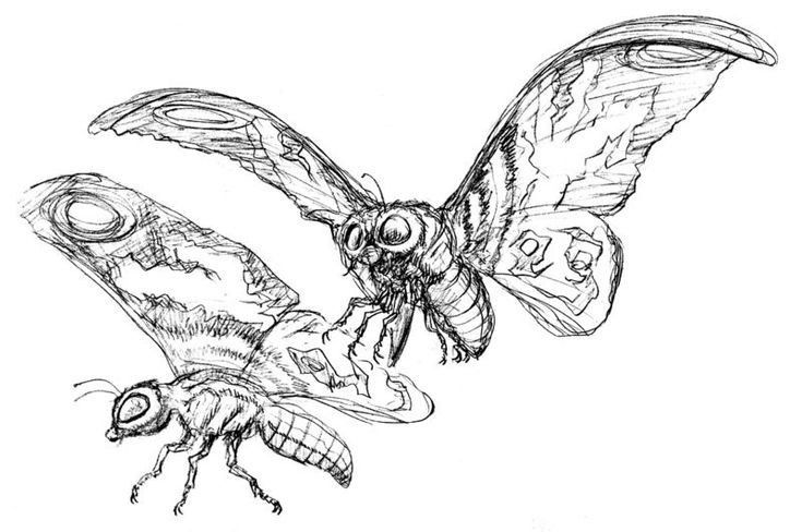 Two sketchy moth-like insects flying on white background