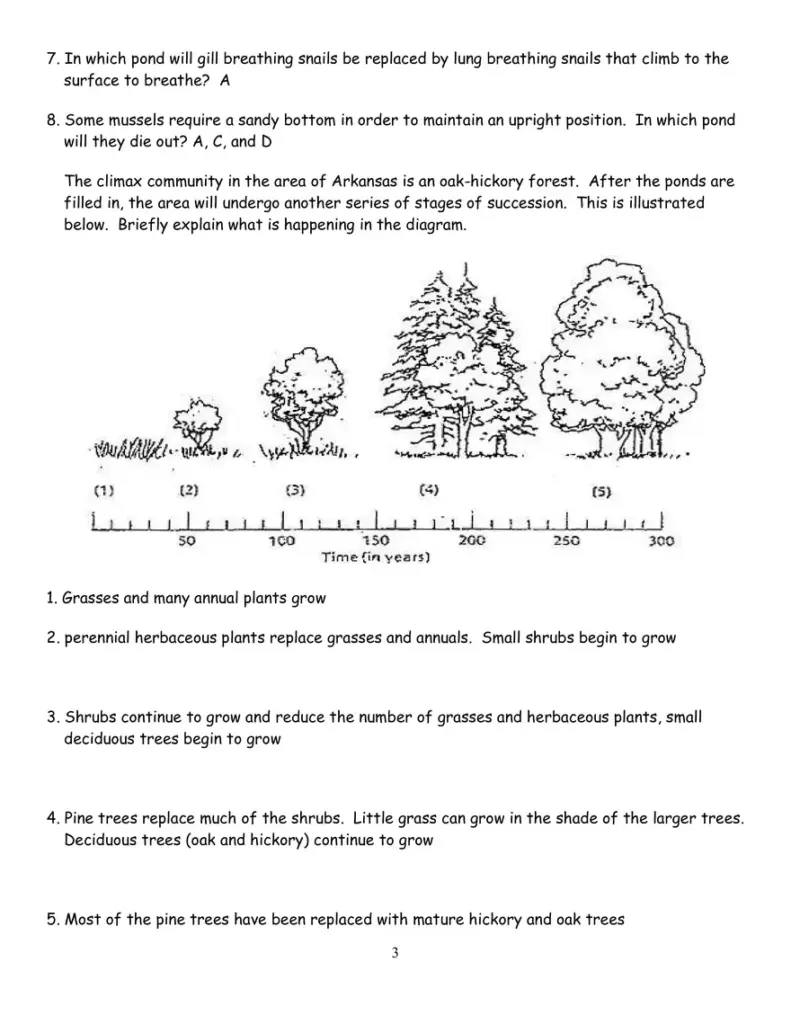 Ecological succession worksheet with trees and timeline diagram