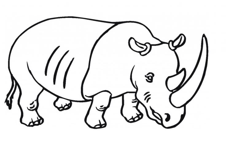 Black-and-white drawing of a rhinoceros facing right