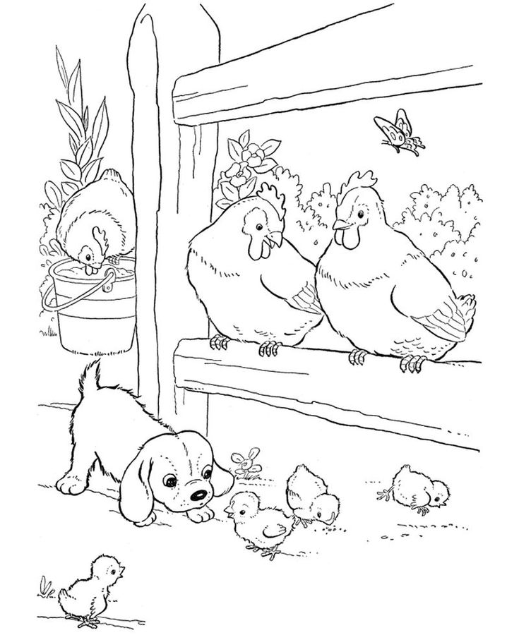 Chicken, puppy, and chicks in farmyard scene
