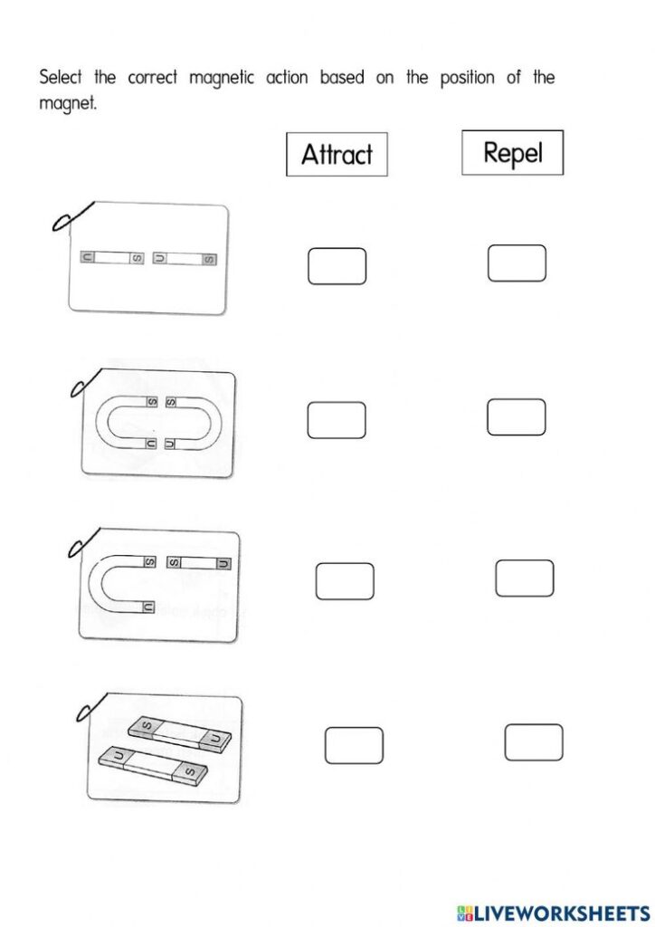 Magnetic attraction worksheet with diagrams and checkboxes