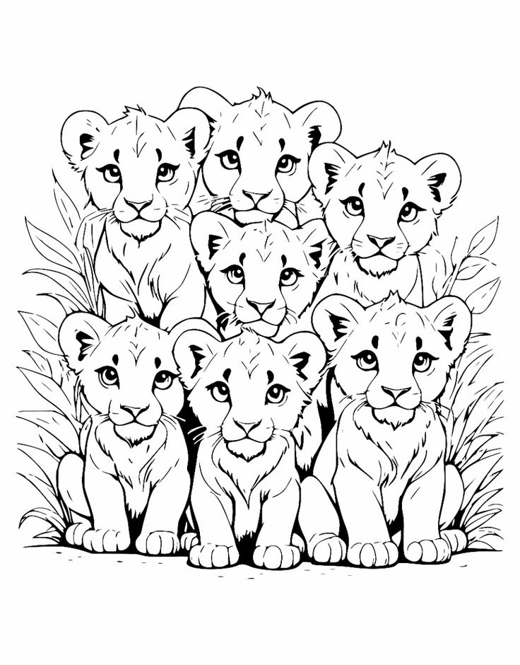 Six lion cubs sitting in tall grass