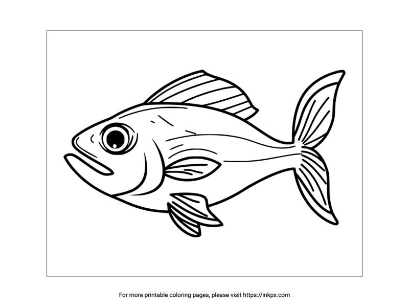 Black-and-white fish line drawing on white background