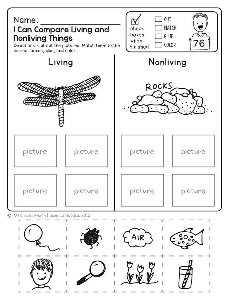 Science worksheet comparing living and nonliving things with drawings