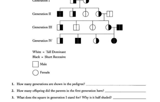 Dog genetics pedigree worksheet with generations and questions