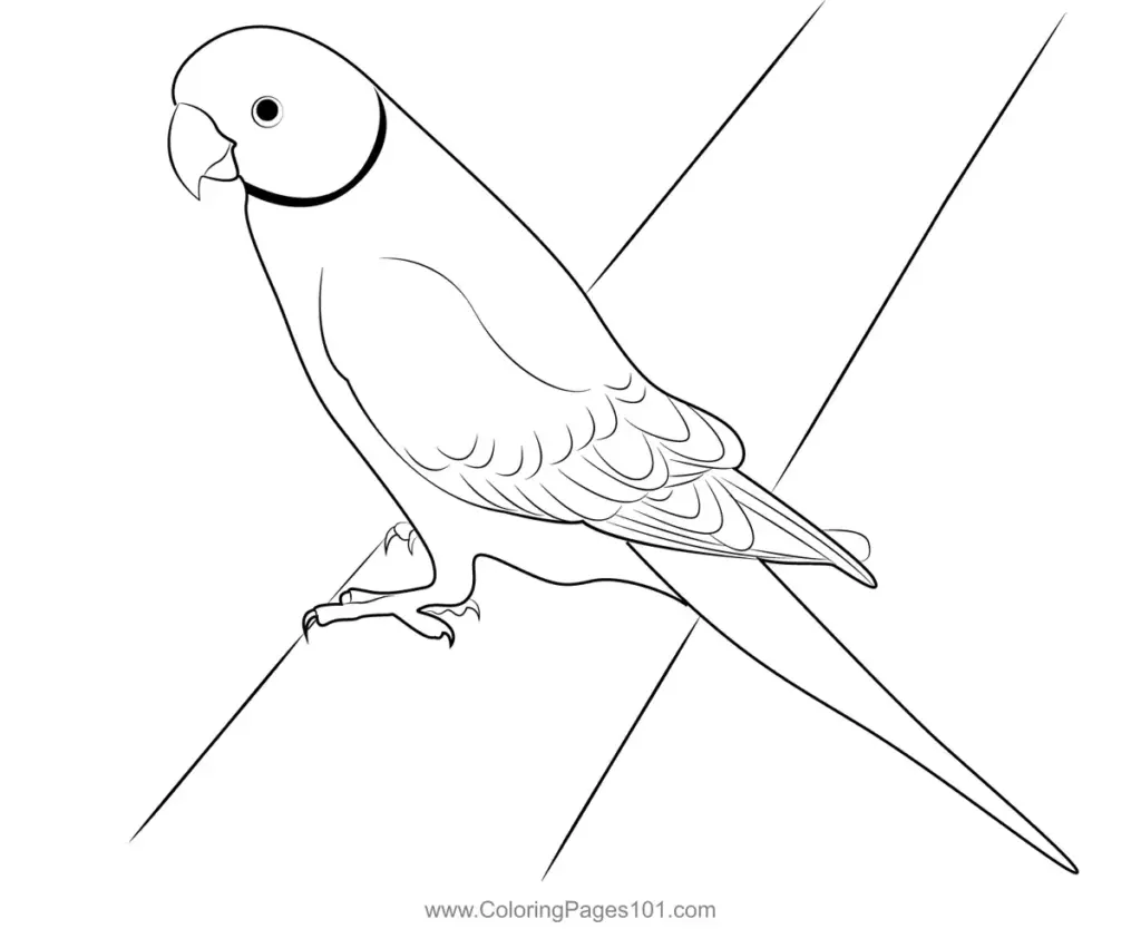 Line drawing of a parrot on a branch