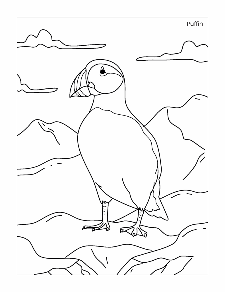 Line drawing of puffin standing on rocks