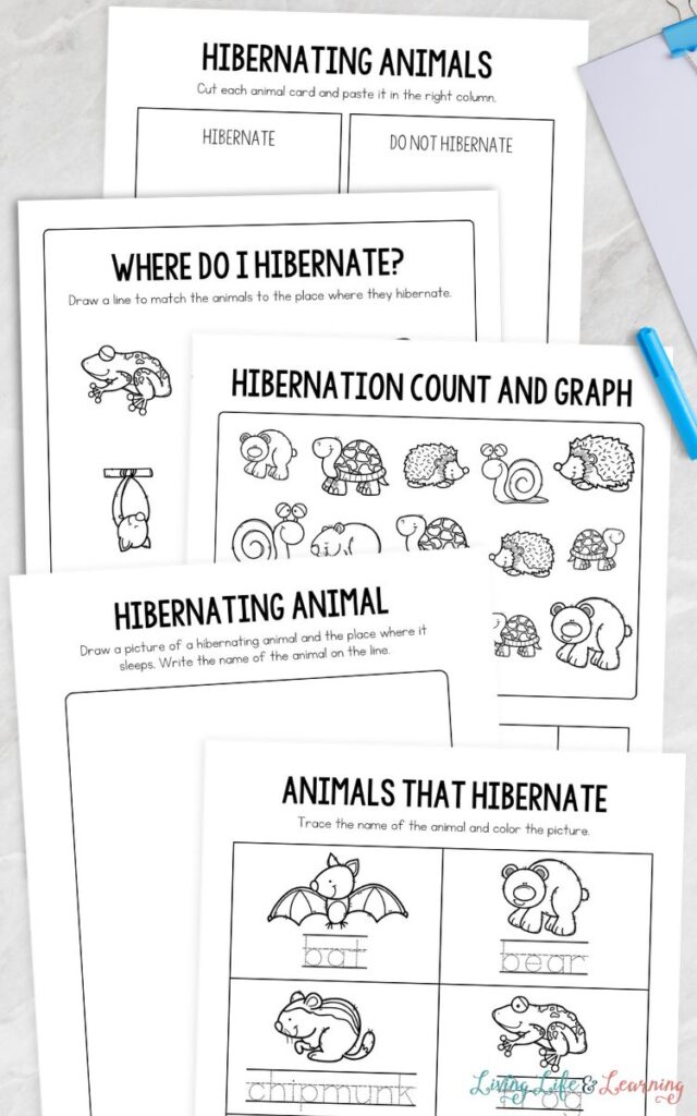 Stack of hibernating animals worksheet pages on a desk