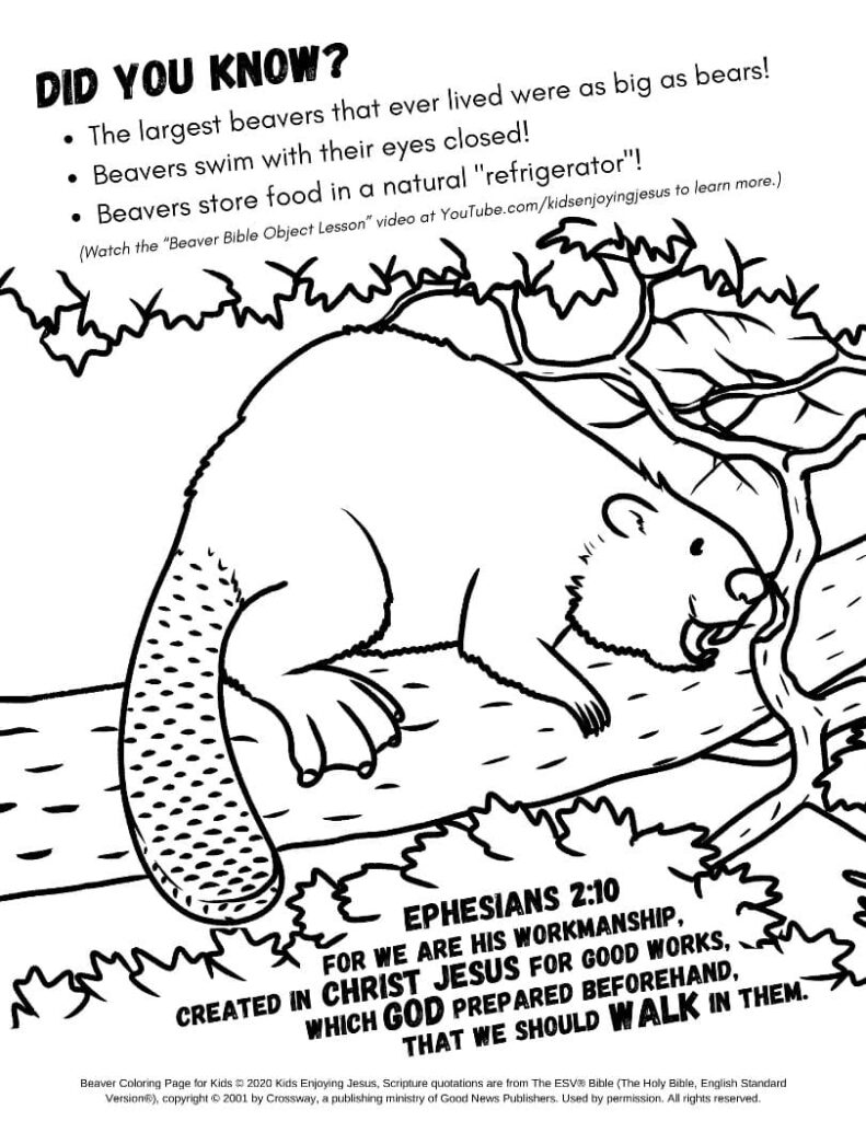 Beaver on log with Bible verse text and facts