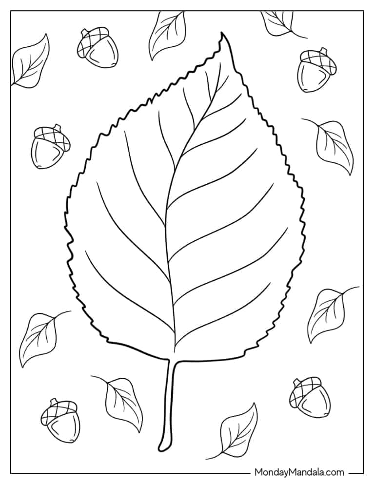 Black-and-white leaf coloring page with acorns around it