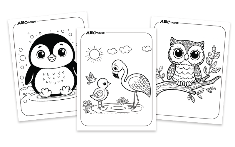 Three animal coloring pages: penguin, flamingo, owl