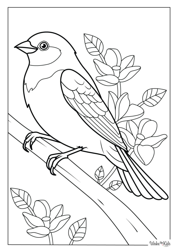 Black-and-white bird coloring page on a branch