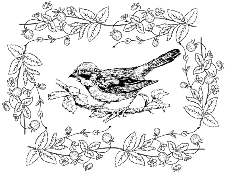 Black-and-white bird illustration framed by berry vines