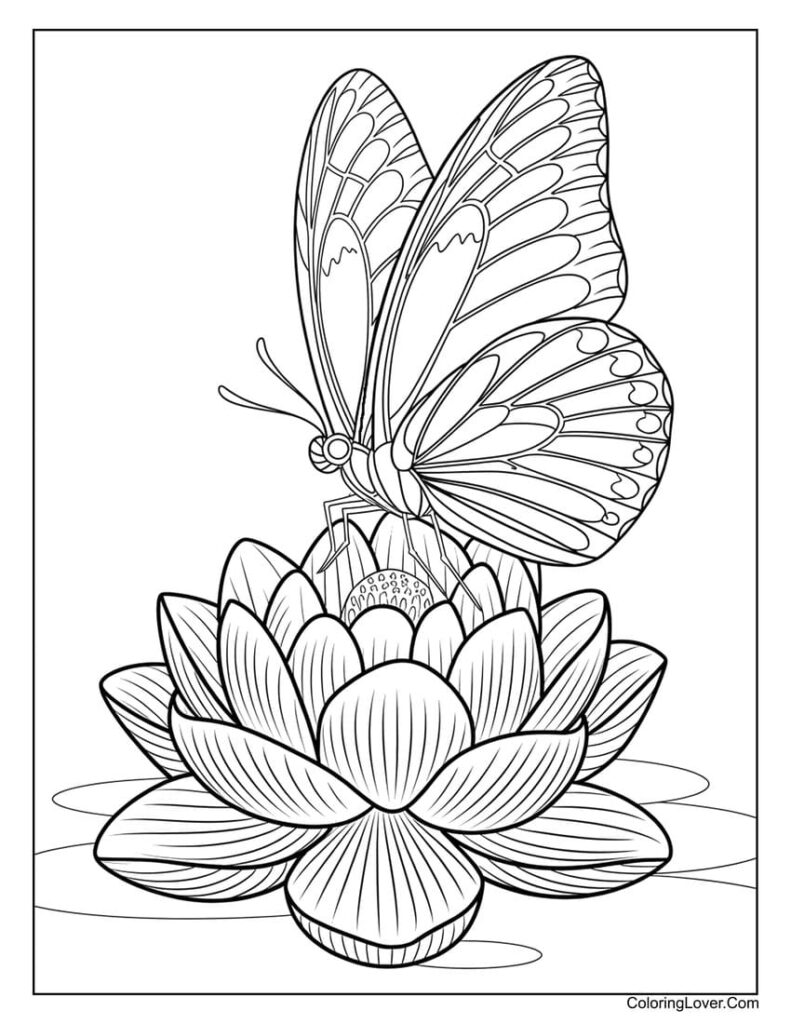 Butterfly perched on a large lotus flower coloring page