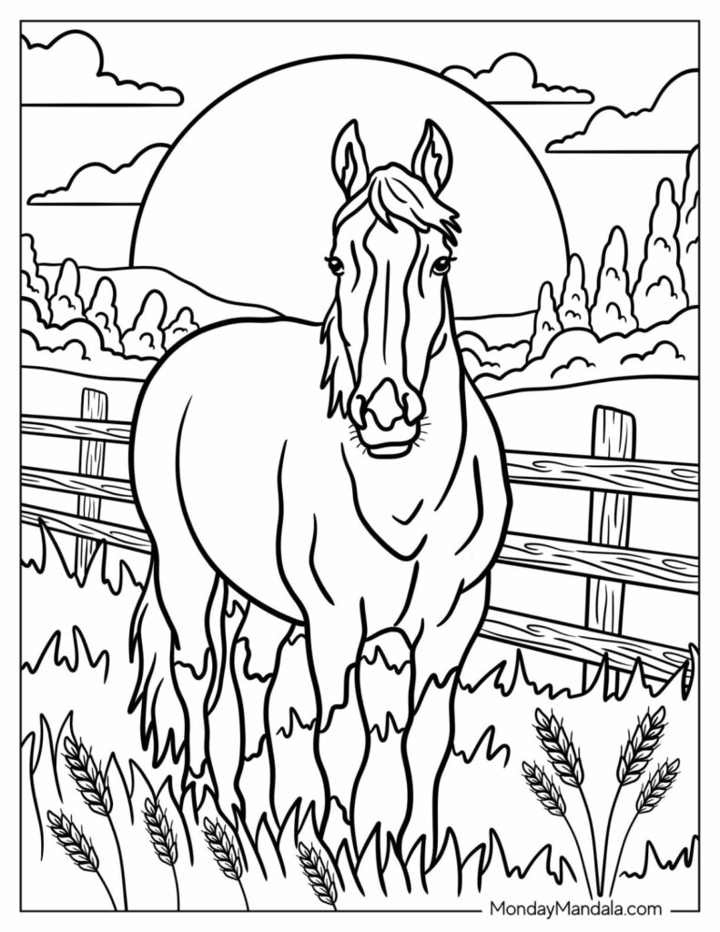Black-and-white horse standing in a fenced field