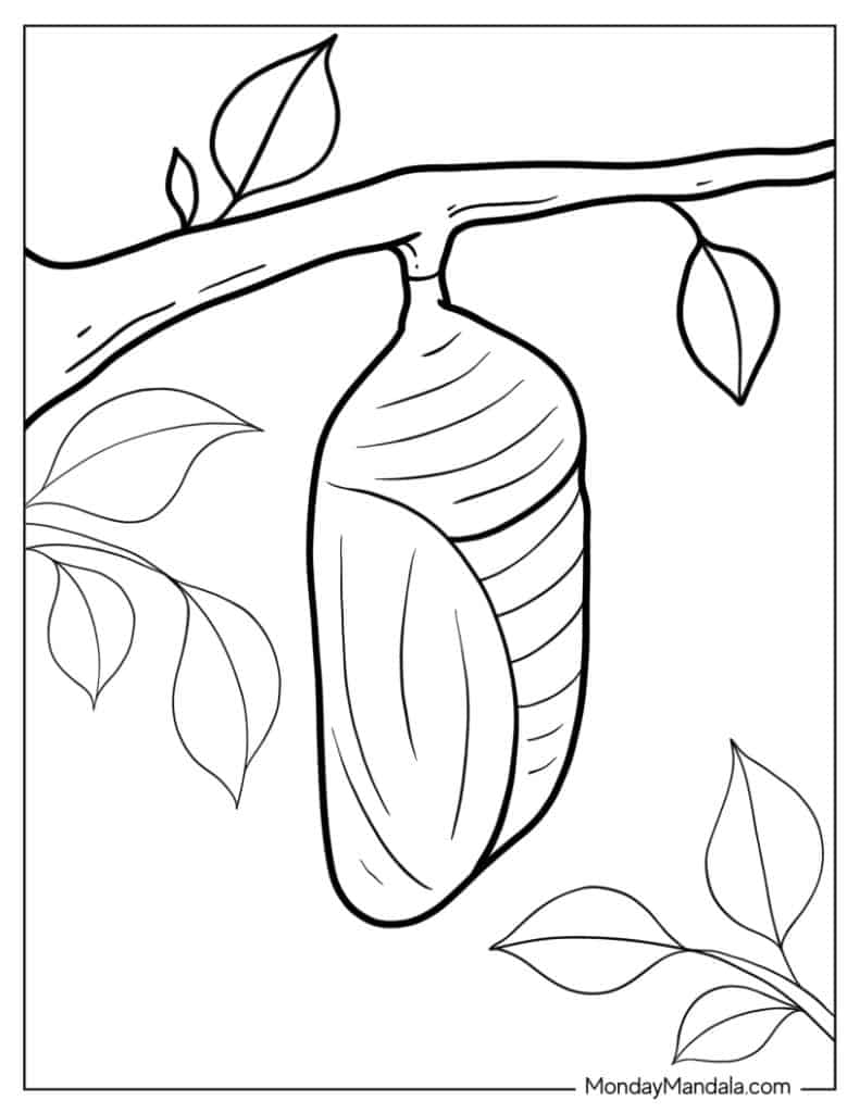 Butterfly chrysalis hanging from a tree branch with leaves