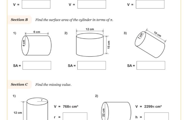 Cylinder volume and surface area worksheet with diagrams