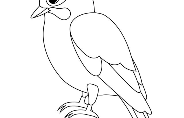 Black line drawing of a perched bird on white background