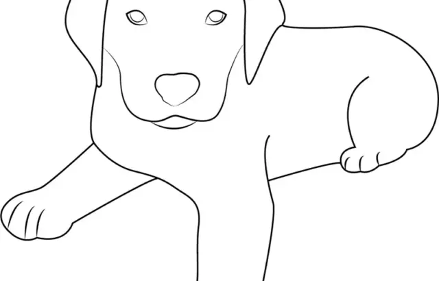 Line drawing of a puppy lying down on white background