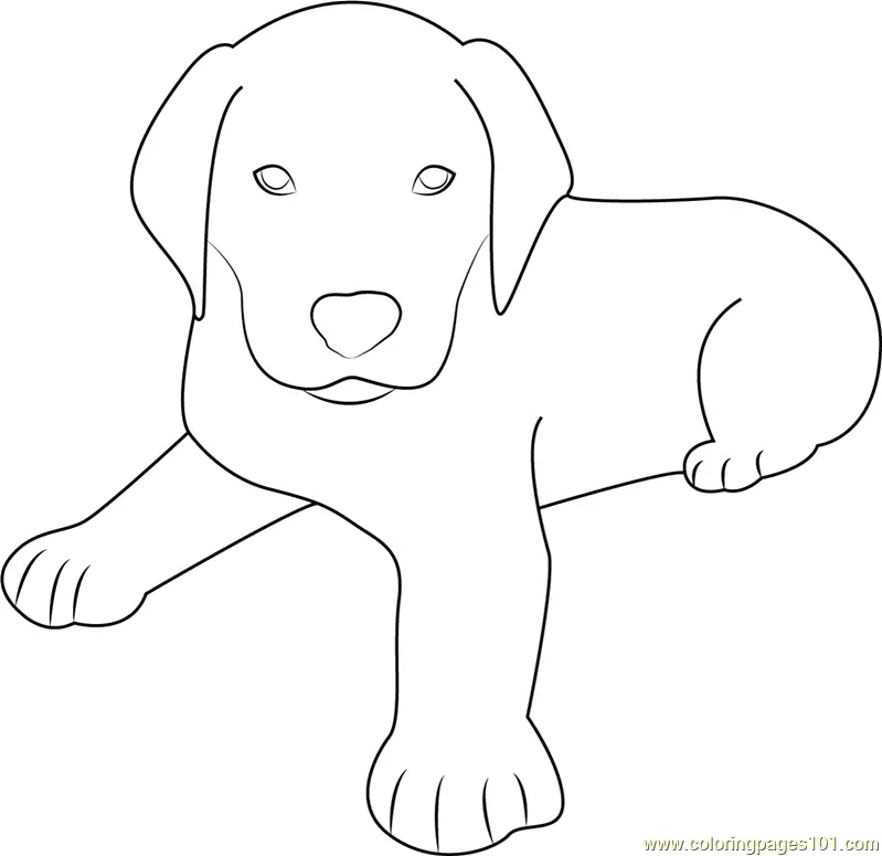 Line drawing of a puppy lying down on white background