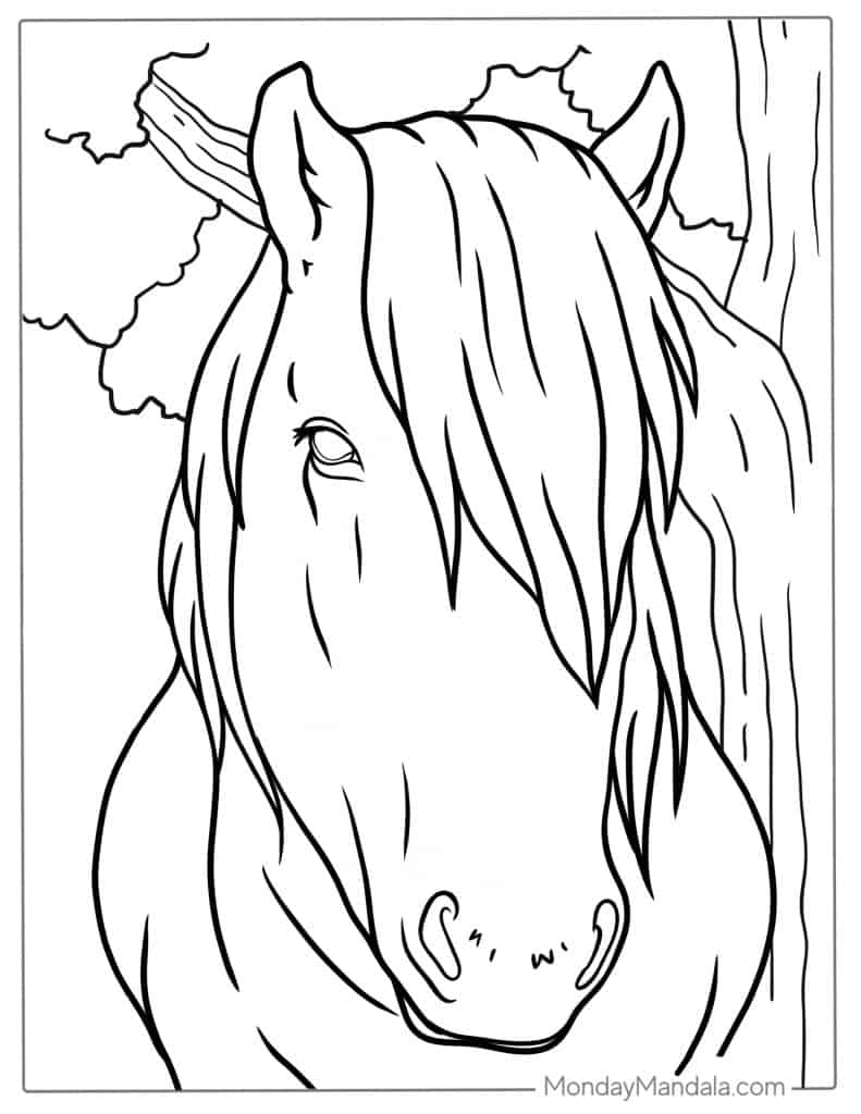 Black-and-white horse head line drawing in profile