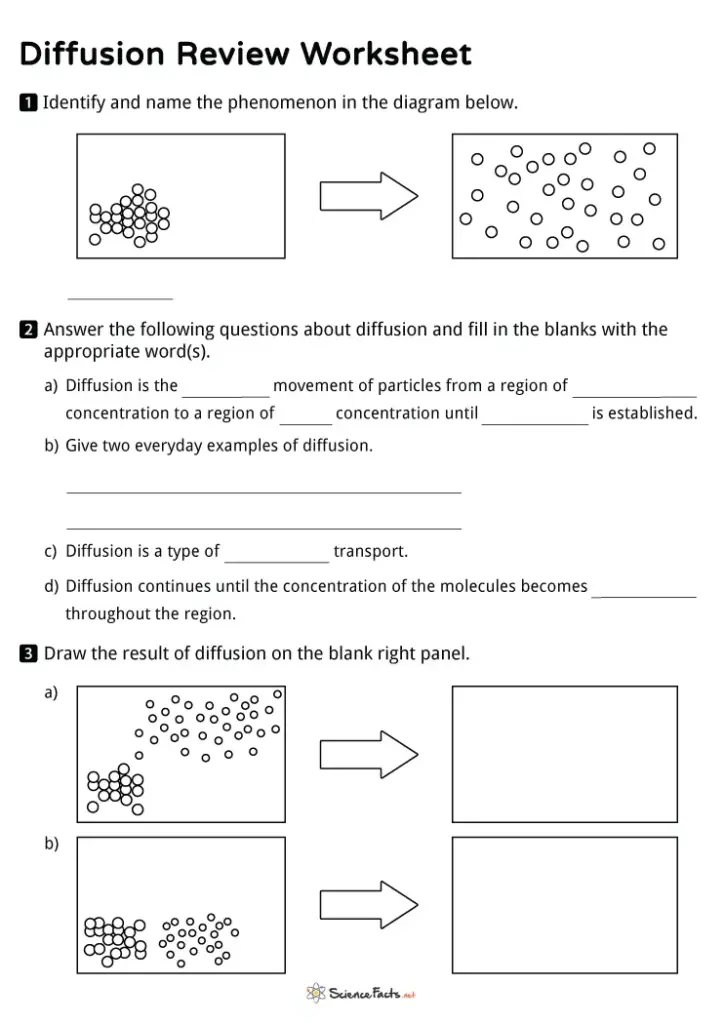 Diffusion review worksheet with particle diagrams and blanks