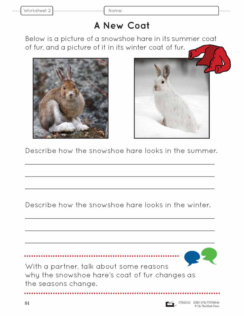 Worksheet page showing two hare photos and writing prompts