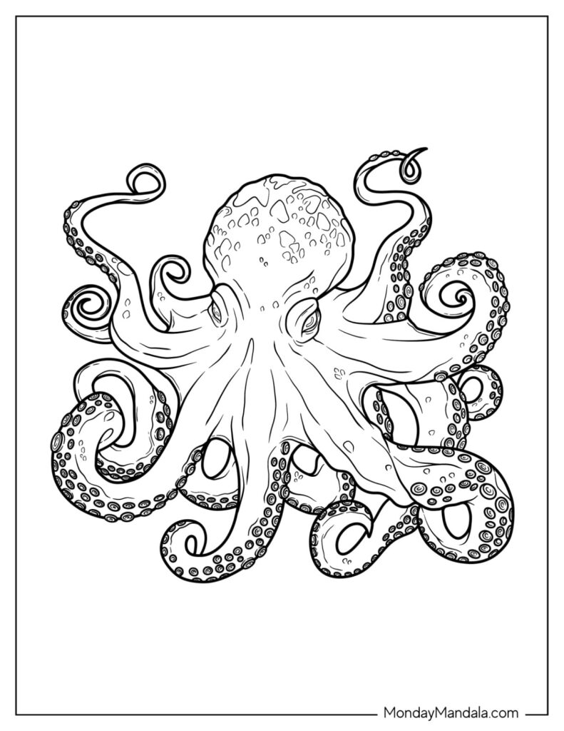 Black-and-white octopus illustration with curled tentacles