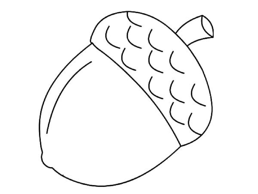 Simple black outline drawing of an acorn on white background