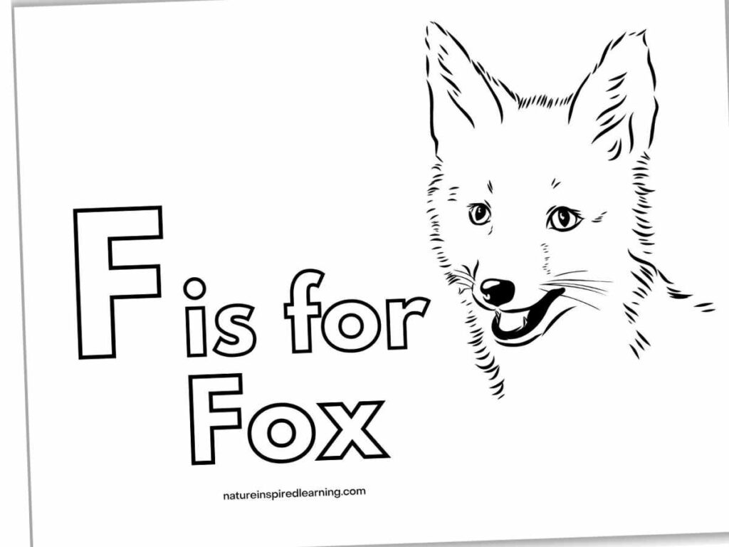 Black-and-white fox drawing with “F is for Fox” text