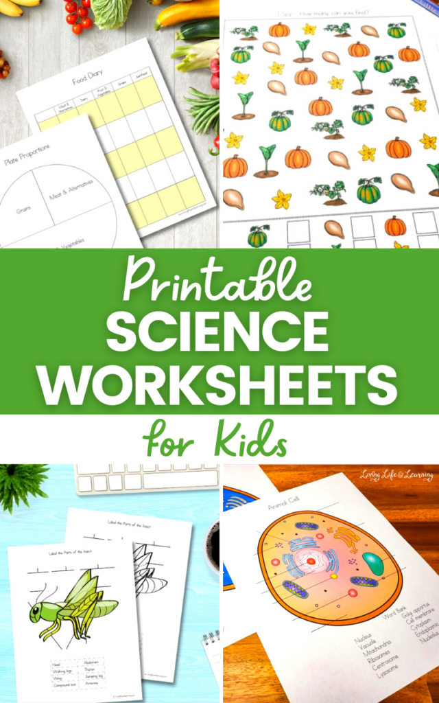 Collage of printable science worksheets for kids, with text headlines