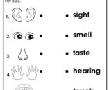 Five senses worksheet with icons and matching words