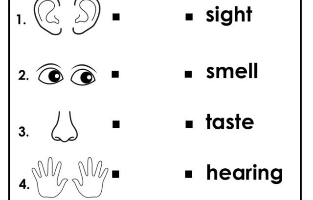 Five senses worksheet with icons and matching words