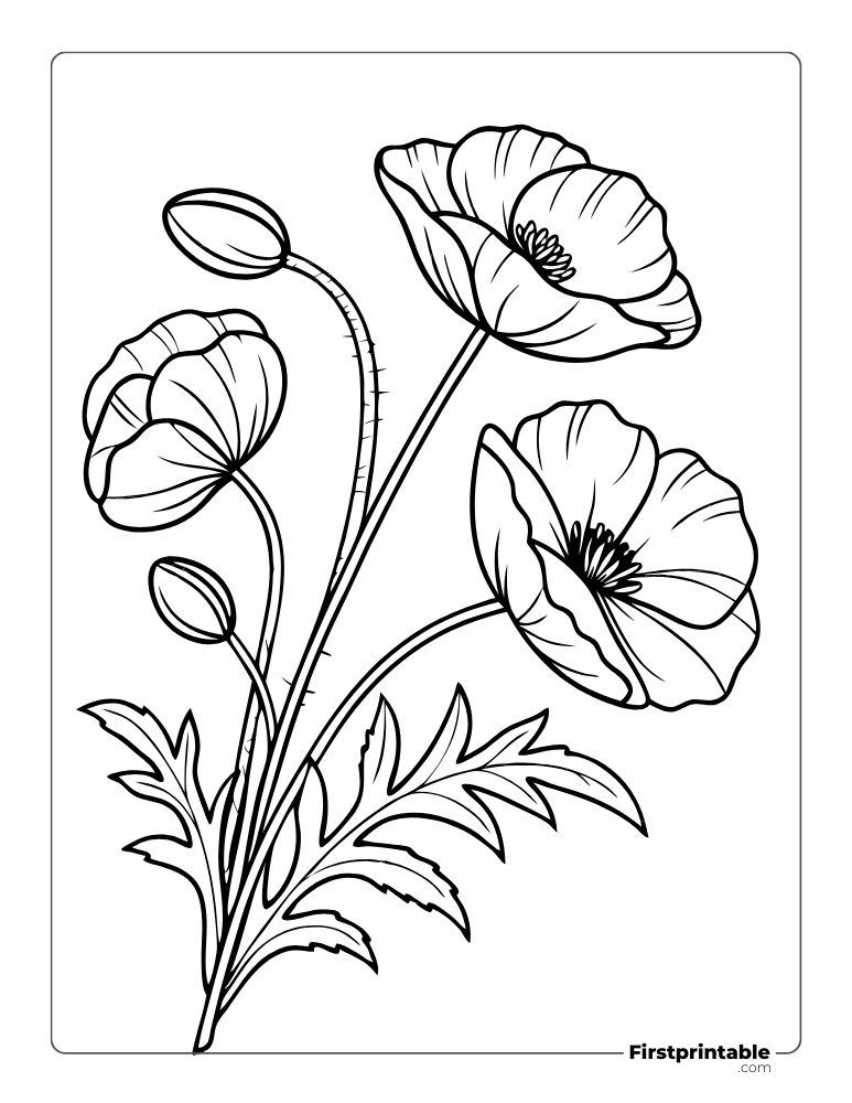 Black-and-white poppy flower coloring page with leaves