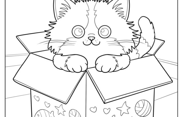 Kitten sitting in decorated cardboard box indoors