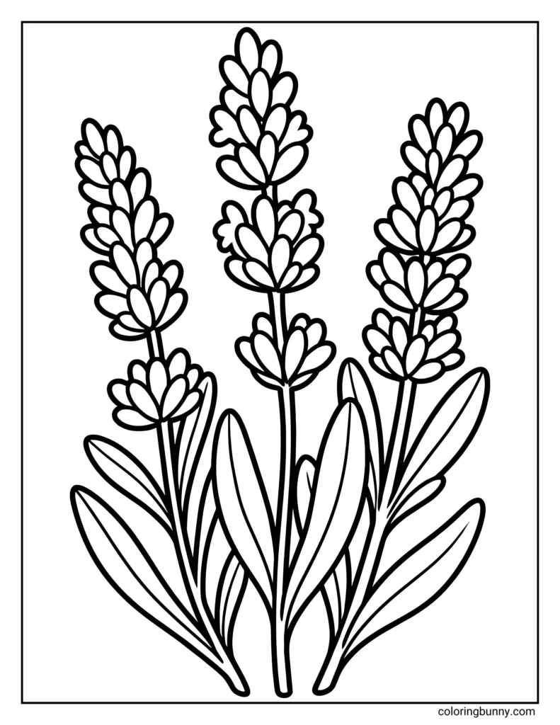 Black-and-white floral coloring page with three tall flower stalks