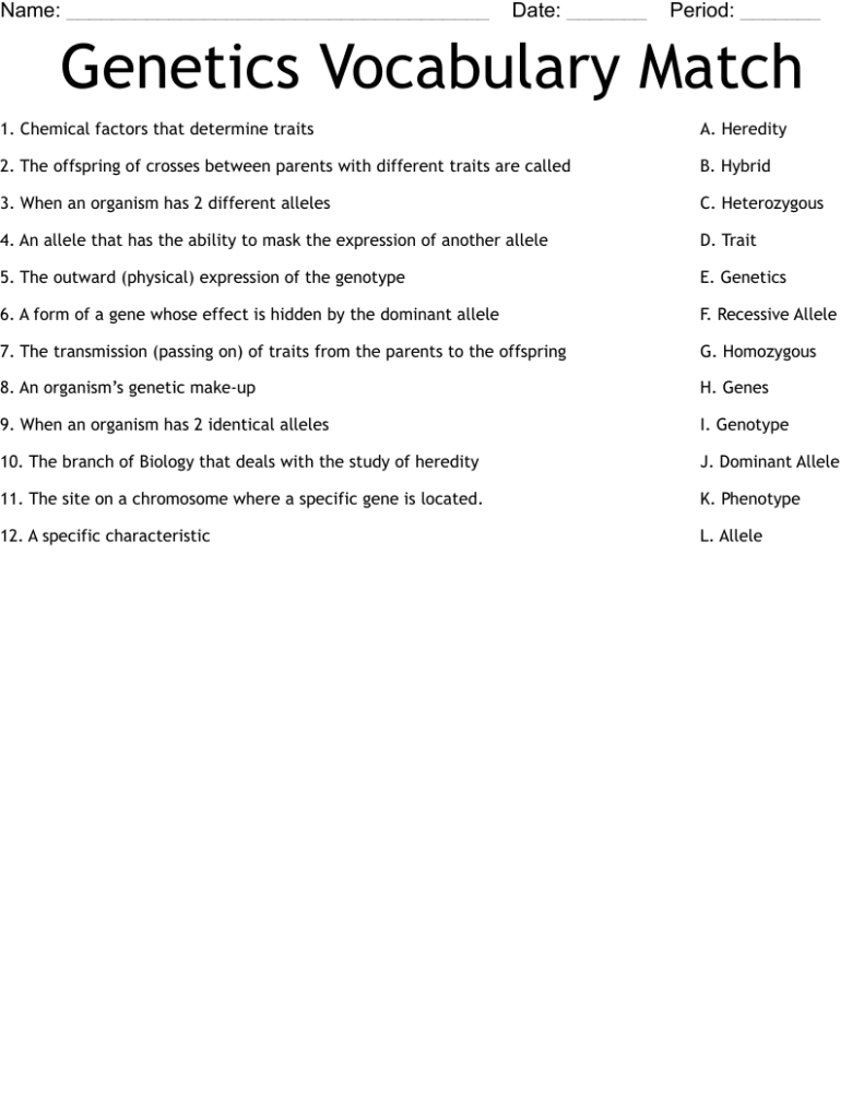 Genetics vocabulary match worksheet with numbered questions and answers