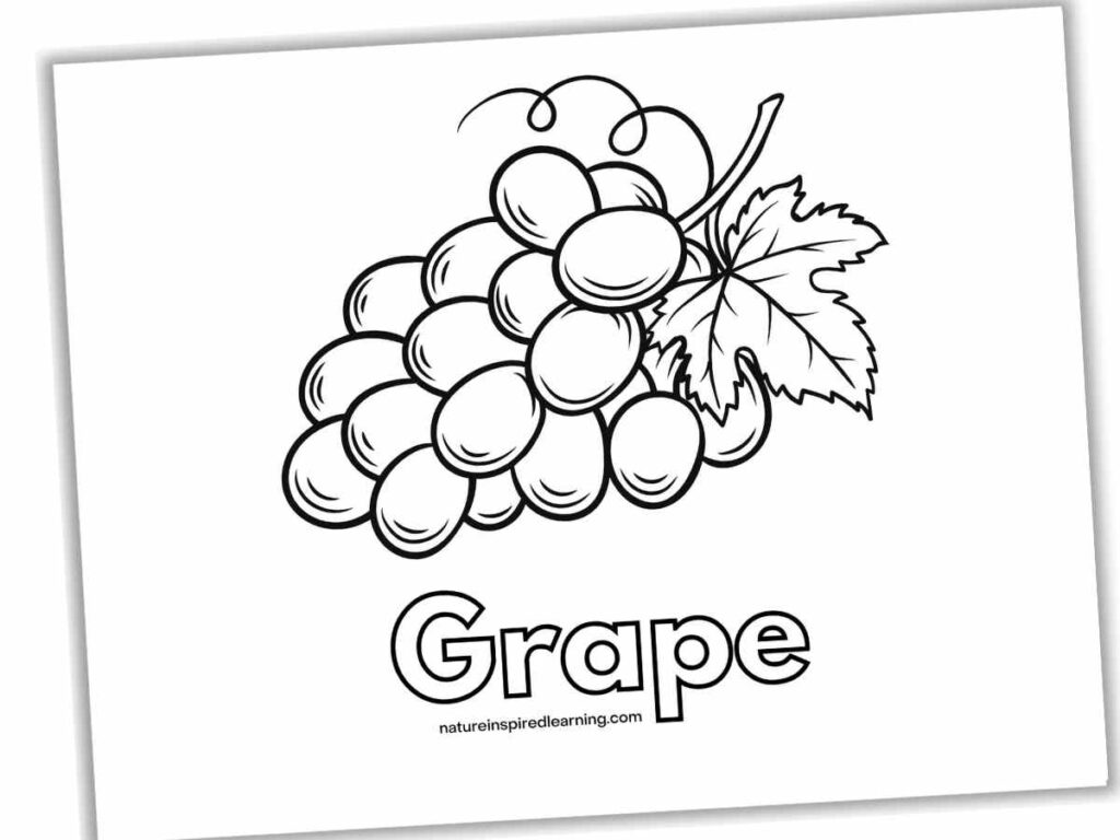 Black-and-white grape coloring page with labeled fruit