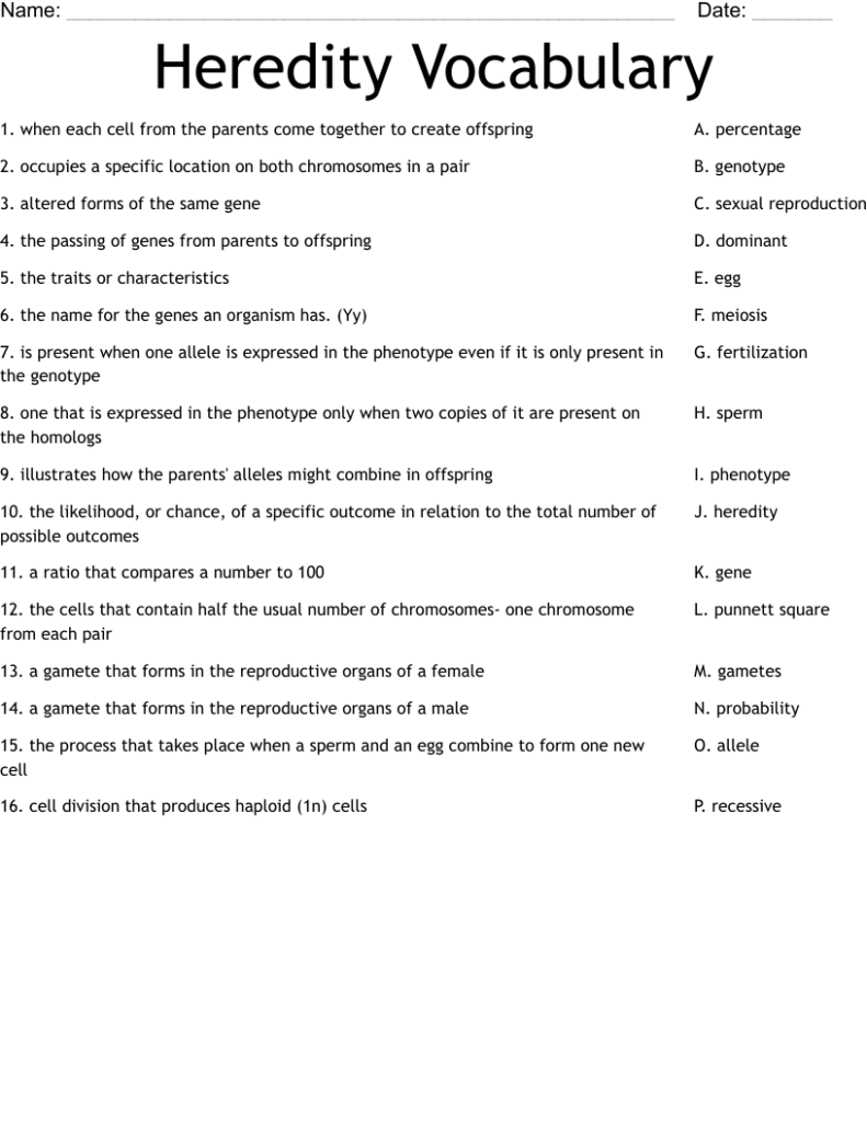 Heredity vocabulary worksheet with matching definitions