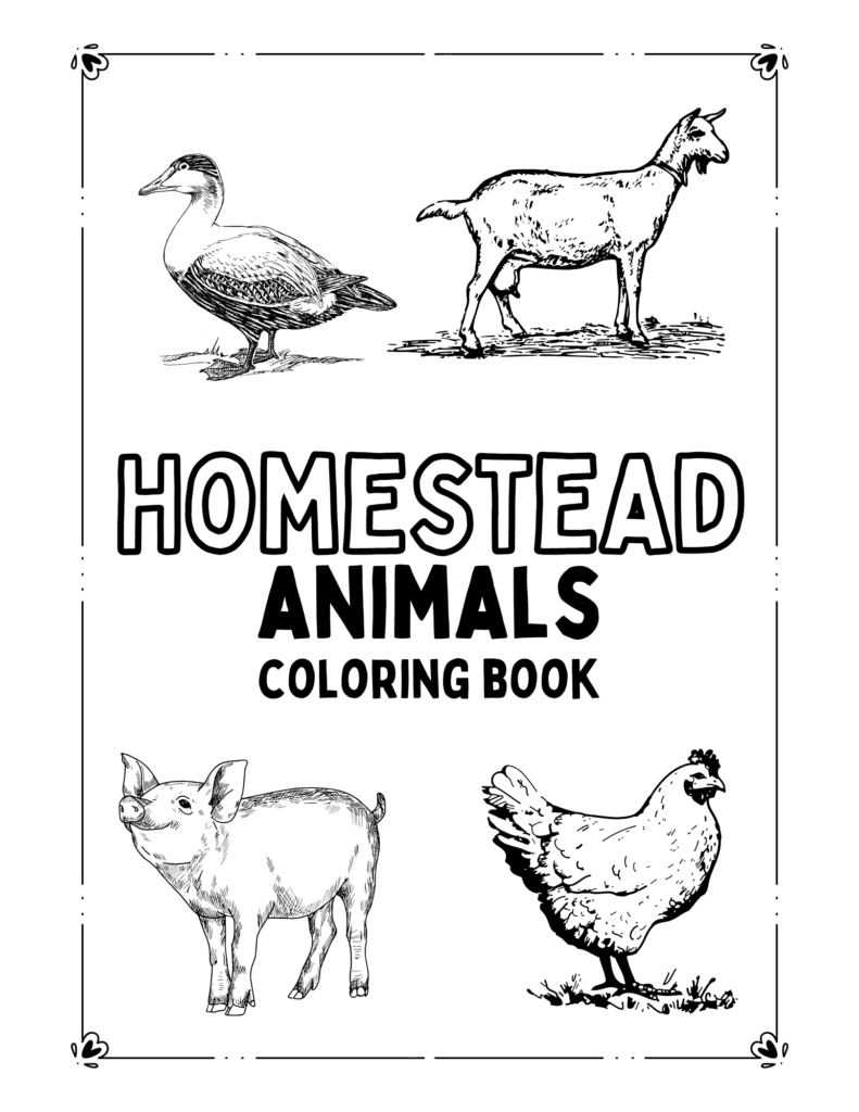 Homestead animals coloring book cover with duck, goat, pig, chicken