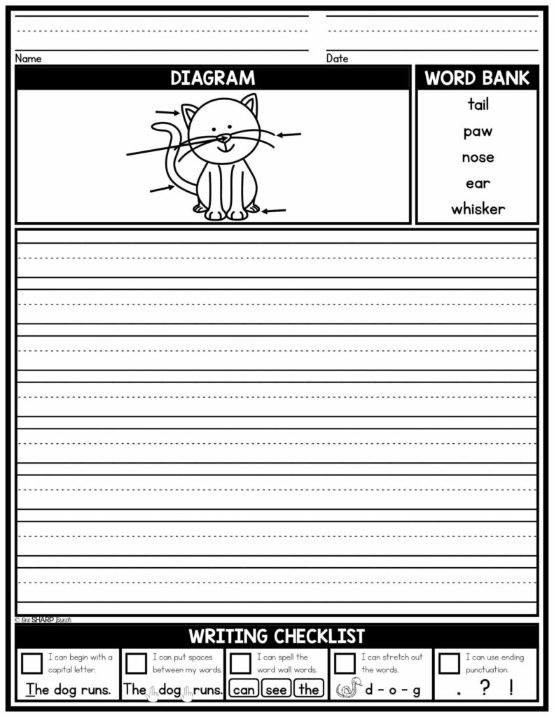 Cat labeling worksheet with word bank and writing lines