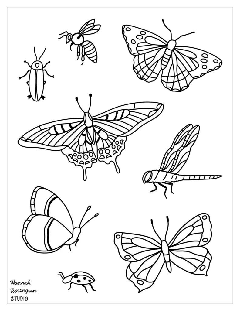 Black-and-white insect coloring page with butterflies, beetles, dragonflies