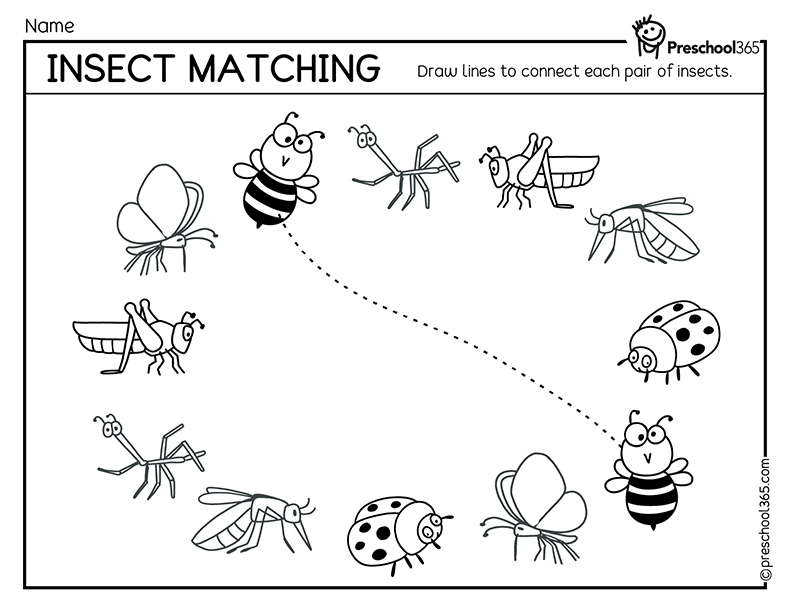 Black-and-white insect matching worksheet with cartoon bugs and lines