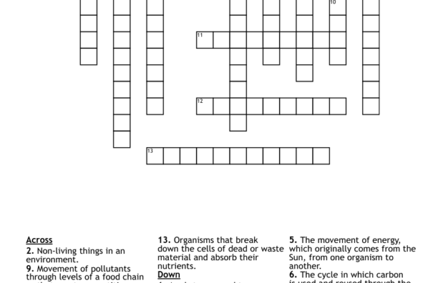 Ecology crossword worksheet with blank grid and clues