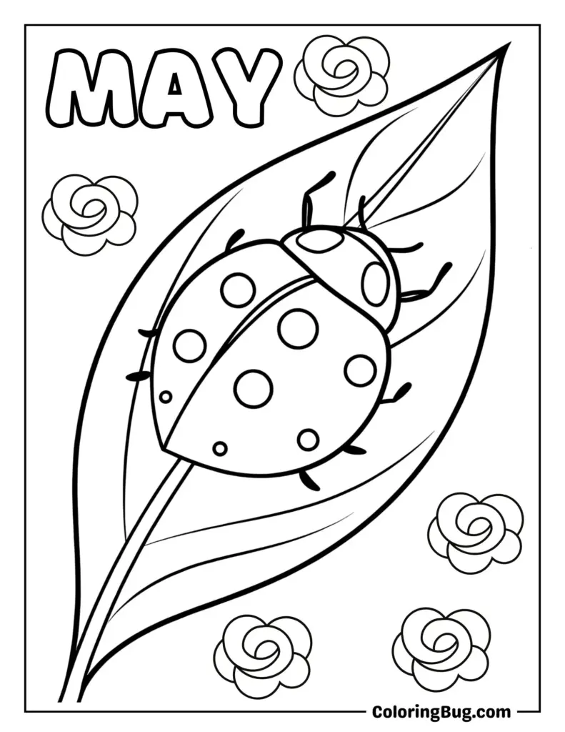 May coloring page with ladybug on a leaf