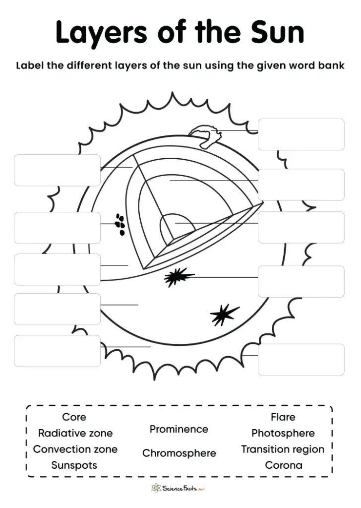 Solar layer labeling worksheet with word bank and diagram