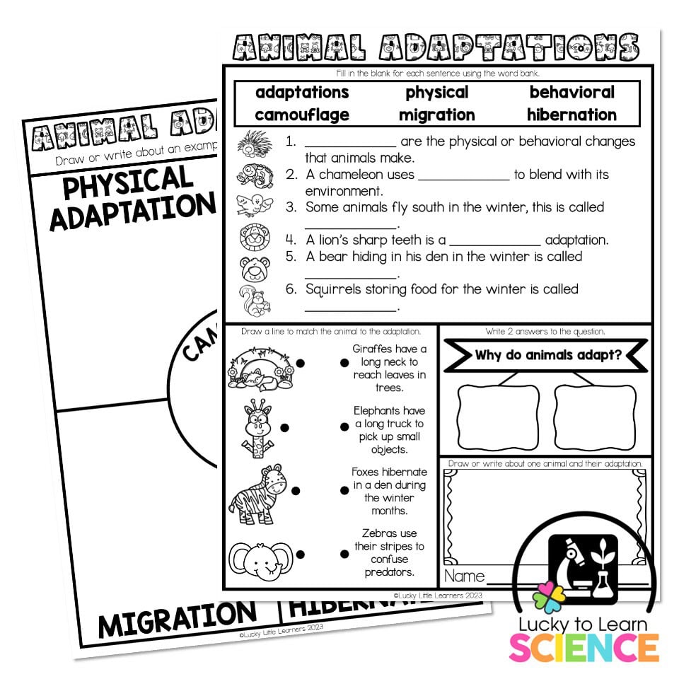 Animal adaptations worksheet pages with cartoon animals and blanks