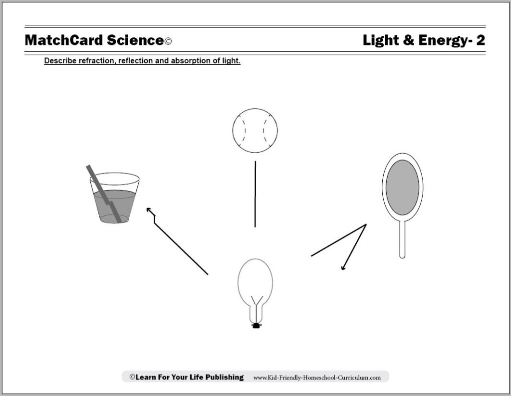 Science worksheet with cup, baseball, mirror, and light bulb diagrams