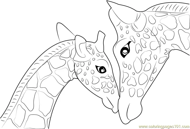 Two giraffes facing each other in outline drawing